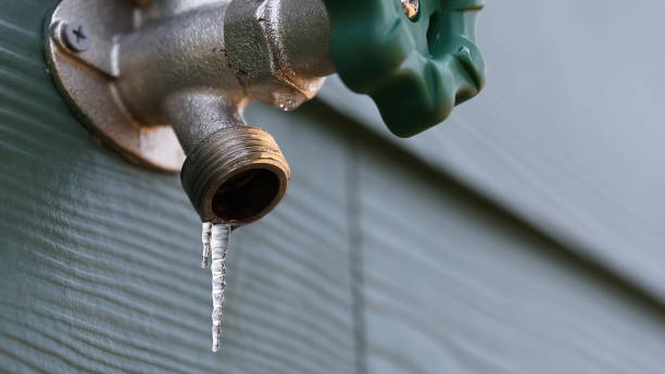 Best Clogged Drain Plumber  in Peoria, AZ